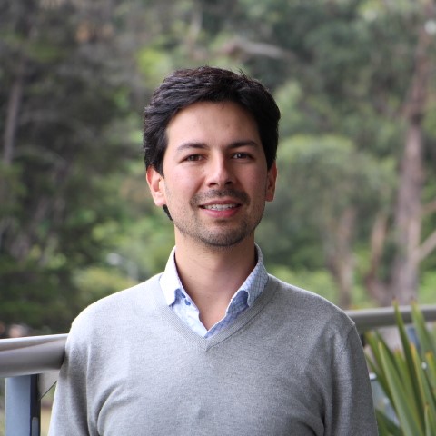Felipe Montes