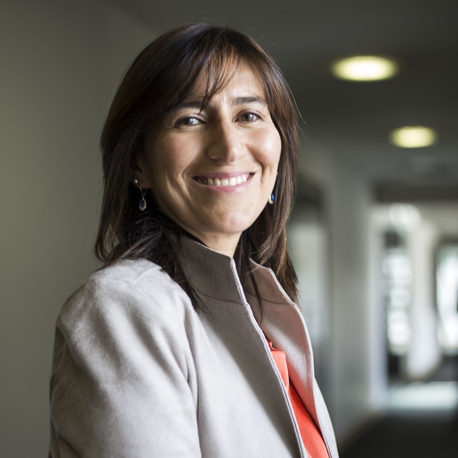 María del Pilar Villamil