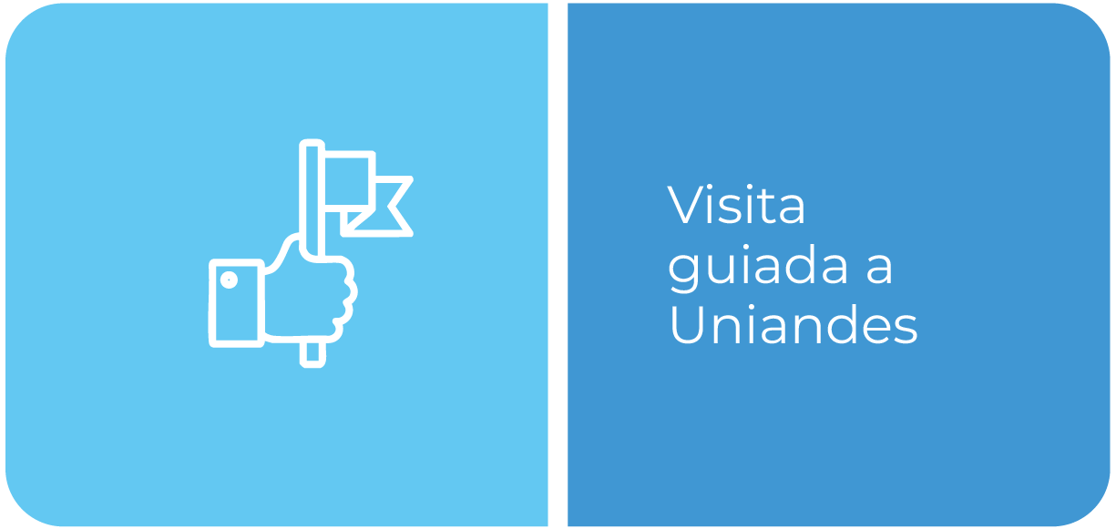 Visita guiada