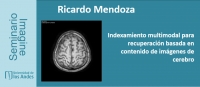 Seminario Imagine: Indexamiento multimodal para recuperación basada en contenido de imágenes de cerebro